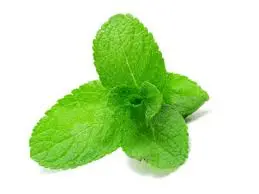 e liquide calibra pg vg